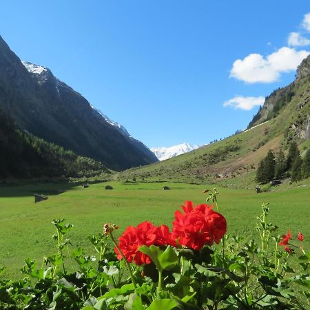 Haus Frank Pitztal Lejlighed Sankt Leonhard im Pitztal Eksteriør billede